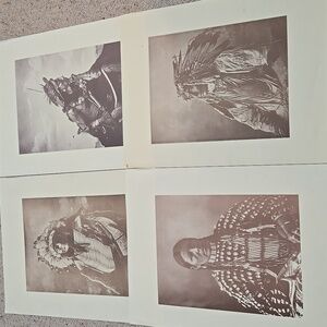 Native American Indian F.A. Rinehart Prints